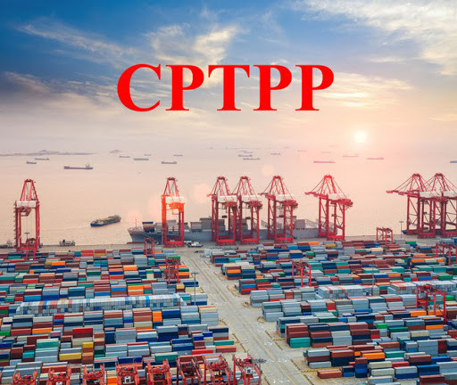 Việt Nam sau hai năm thực thi CPTPP: Ấn tượng từ Canada và Mexico